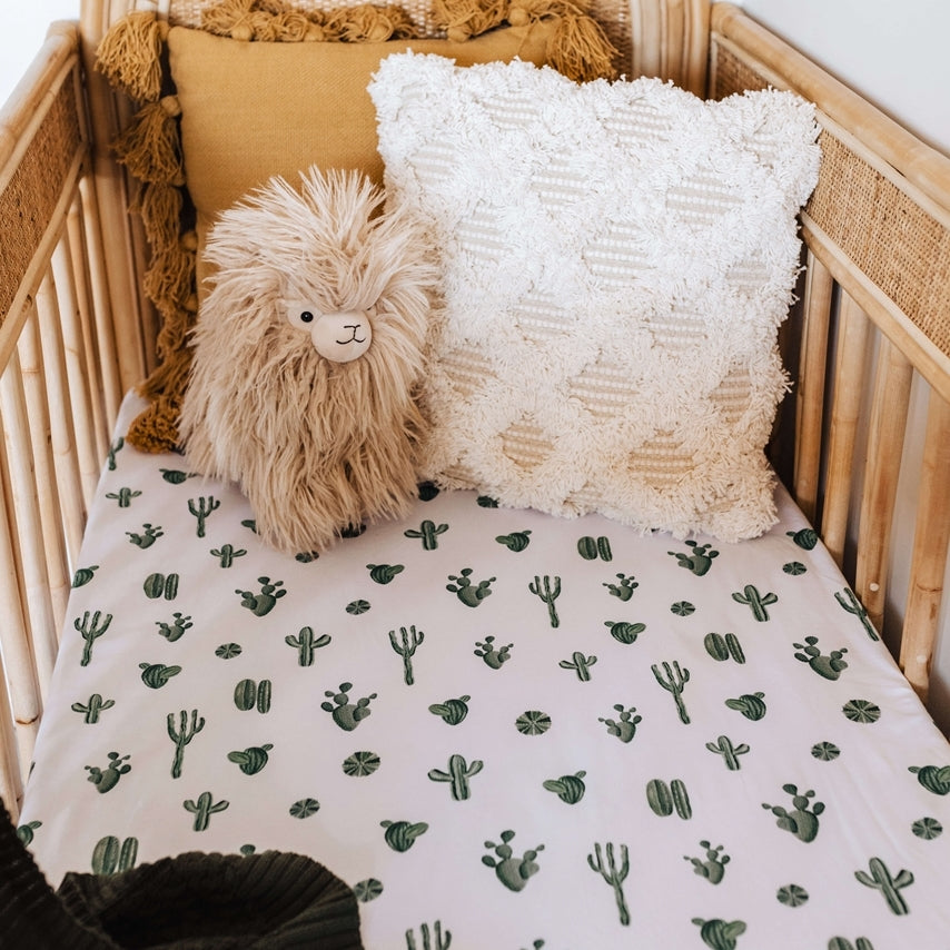 Cactus nursery outlet bedding